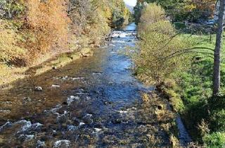Wohnung kaufen in 79331 Teningen, Teningen - 1-Zi Wohnung beste Lage Freiburg