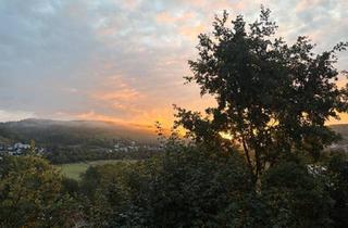 Mehrfamilienhaus kaufen in 74670 Forchtenberg, Forchtenberg - Mehrfamilienhaus am Waldrand mit 3 Wohnungen