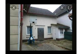 Einfamilienhaus kaufen in 37647 Polle, Polle - Einfamilienhaus