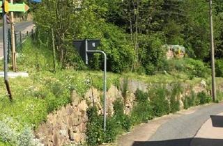 Einfamilienhaus kaufen in 01665 Klipphausen, Klipphausen - Traumgrundstück mit einem Einfamilienhaus