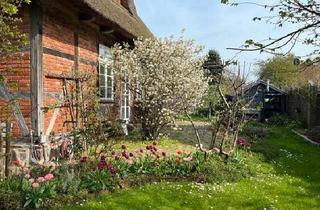 Haus kaufen in 23909 Ratzeburg, Ratzeburg - ??Weihnachten im eigenen Haus ??