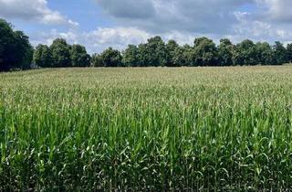 Wohnung kaufen in 26316 Varel, Wohlfühlwohnung mit Loggia am Gröningshof in Dangast