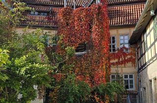 Wohnung mieten in Jüdengasse 16, 99947 Bad Langensalza, Wunderschöne 3-Zimmer-Wohnung im Herzen von Bad Langensalza