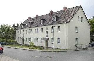 Wohnung mieten in Wilfriedstr. 043, 33649 Quelle, Schöne 3ZKB-Wohnung mit ca.57 m² in Quelle ab sofort frei