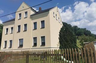 Wohnung mieten in Alte Kirchberger Str., 08107 Kirchberg, Sonniges Ein-Zimmer-Apartment mit kleiner Einbauküche und Garten!