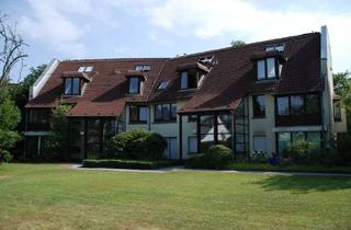 Wohnung mieten in Bergische Landstraße 261, 40629 Ludenberg, Sanierte 2-Zimmer-EG-Wohnung mit Wintergarten und großer Terrasse in Düsseldorf Gallberg