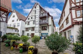 Wohnung mieten in 88499 Riedlingen, Vollständig renovierte 3,5-Zimmer-Wohnung mit EBK in Riedlingen