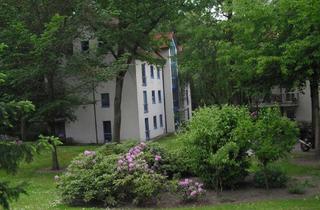 Wohnung mieten in An Der Katholischen Kirche, 15366 Hoppegarten, Geräumige 2 Zimmerwohnung mit Balkon im Grünen