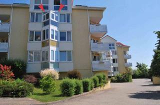 Wohnung mieten in Platanenstraße 14c, 17033 Neubrandenburg, ☆ ☆ ☆ ☆ ☆ großzügige Einraumwohnung, Bad mit Dusche, PKW-Stellplatz ☆ ☆ ☆ ☆ ☆