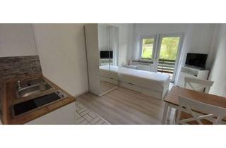 Wohnung mieten in 61276 Weilrod, 1-Zimmer-Appartement, möbliert mit Balkon in Weilrod