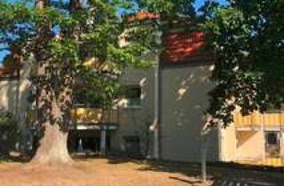 Wohnung mieten in Wildganssteig 63, 13503 Heiligensee, 2 Zimmer Dachgeschosswohnung zzgl. Galerie in Berlin-Heiligensee (Reinickendorf)