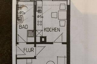 Wohnung mieten in Gerbereistraße, 77694 Kehl, Vollständig renovierte 1-Zimmer-Wohnung mit EBK in Kehl