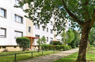 Wohnung mieten in Prenzlauer Straße 19, 16227 Eberswalde, Sanierte 3 -Rauwohnung im Erdgeschoss - Schnell zugreifen!