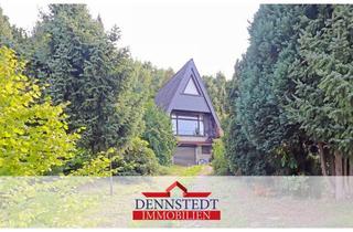 Haus kaufen in 29490 Neu Darchau, Charmantes Ferienhaus mit traumhaftem Elbblick