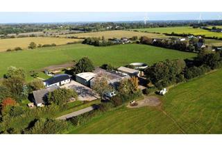 Haus kaufen in 24860 Klappholz, Perfektes Zuhause für Mensch und Tier – Großes Haus, Ställe und 3 Hektar eigenem Weideland