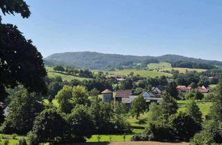 Mehrfamilienhaus kaufen in 64385 Reichelsheim, Gute Rendite! Umfangreich saniertes Mehrfamilienhaus