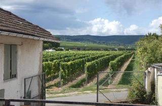 Haus kaufen in 67273 Herxheim am Berg, Zwei Häuser mit Weinbergsblick - sanierungsbed. Schmuckstück