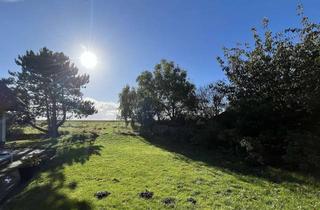 Haus mieten in 25980 Sylt, Grosszügiges Leben in der Natur unter Reet
