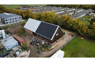 Büro zu mieten in 67580 Hamm, Werkstatt, Halle, Büros, Umkleide, Toiletten