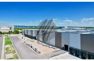 Büro zu mieten in 61191 Rosbach, KEINE PROVISION ✓ 24/7 ✓ NEUBAU / ERSTBEZUG ✓ Lager (10.000 m²) & Büro (1.000 m²)