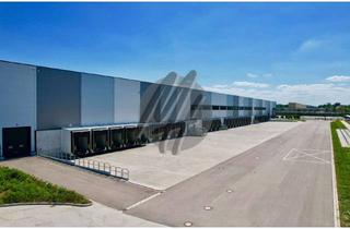 Büro zu mieten in 61191 Rosbach, KEINE PROVISION ✓ 24/7 ✓ NEUBAU / ERSTBEZUG ✓ Lager (5.000 m²) & Büro (500 m²)