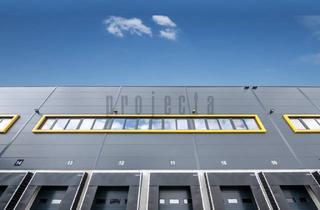 Gewerbeimmobilie mieten in 31135 Hildesheim, JETZT SICHERN ! * Logistik * Neubau * 0151-510 164 22