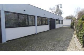 Gewerbeimmobilie mieten in 67098 Bad Dürkheim, Halle im Gewerbegebiet DÜW 400 m²
