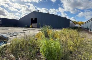 Gewerbeimmobilie kaufen in Zum Eisenhammer 5 B, 46049 Lirich-Nord, Eventhalle mit Genehmigung in Top-Lage von Oberhausen