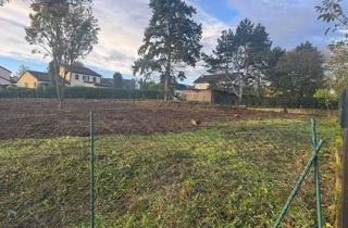 Grundstück zu kaufen in Dr-Wilhelm-Adt-Straße 10, 55543 Bad Kreuznach, Teilbares Grundstück auf dem beliebten Kuhberg mit viel Gestaltungsmöglichkeit // Flächen siehe Text