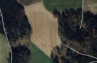 Grundstück zu kaufen in Eichenfeldstraße 2-14, 85391 Allershausen, Ackerland (2,74 ha) mit Potential - Aiterbach/ Allershausen