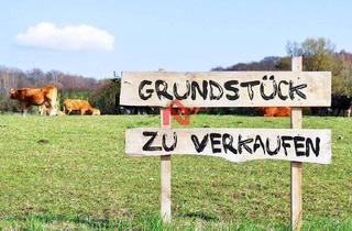 Grundstück zu kaufen in 89079 Gögglingen, Baugrundstück mit Abrisshaus & Scheune in Ulm-Gögglingen – ca. 2.634 m² – ideal für Bauträger & Inve