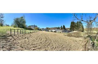 Grundstück zu kaufen in Schlossstrasse 63, 75045 Walzbachtal, Baugrundstück mit genehmigter Bauvoranfrage – unverbaubare Lage am Naturschutzgebiet in Walzbachtal