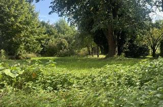 Grundstück zu kaufen in 33178 Borchen, Attraktives Baugrundstück mit Entwicklungspotenzial