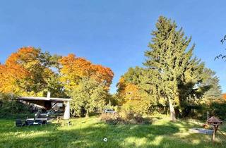 Grundstück zu kaufen in 15374 Müncheberg, Freizeitgrundstück in Müncheberg mit massivem Bungalow