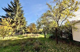 Grundstück zu kaufen in 15374 Müncheberg, Freizeitgrundstück in Müncheberg mit massivem Bungalow