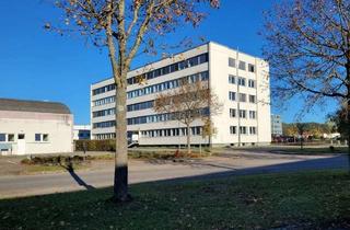 Büro zu mieten in 78244 Gottmadingen, Bürogebäude in Gottmadingen zur Miete