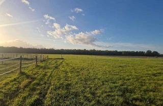 Immobilie kaufen in 14624 Dallgow-Döberitz, Landwirtschaftliche Nutzfläche zum Kauf in Seeburg