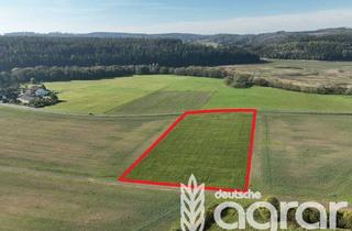 Gewerbeimmobilie kaufen in 98667 Schönbrunn, Acker (ca. 1,3 ha) bei Schleusingen