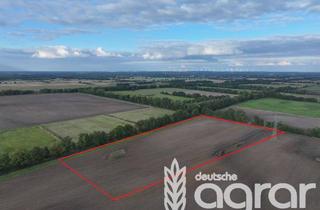 Gewerbeimmobilie kaufen in 04928 Schraden, Acker (ca. 7 ha) bei Lauchhammer im Landkreis Elbe-Elster