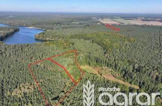 Gewerbeimmobilie kaufen in 17268 Templin, Kiefernmischwald (ca. 5 ha) im Landkreis Uckermark bei Templin