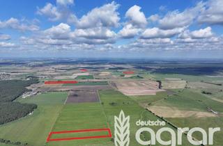 Gewerbeimmobilie kaufen in 39524 Wust, Acker + Grünland in der schönen Altmarkt - ca. 12 ha zwischen Stendal und Genthin zu verkaufen!