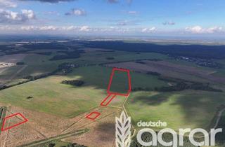 Gewerbeimmobilie kaufen in 17379 Lübs, Ackerfläche ca. 11 ha in Lübs zwischen Friedland und Ueckermünde