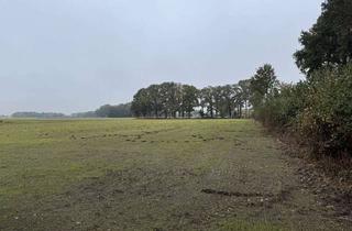 Gewerbeimmobilie kaufen in 48691 Vreden, Landwirtschaftliche Fläche in Vreden "Gaxeler Mark" zu verkaufen!