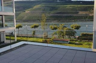 Wohnung mieten in Hafenstraße 19, 55411 Bingen, Helle 2-Zimmer Wohnung mit Balkon im 1. OG in Bingen am Rhein