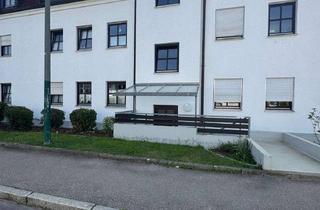 Wohnung mieten in Scheppacher Straße, 86850 Fischach, Gemütliche Erdgeschosswohnung mit praktischer Aufteilung – ab sofort bezugsfrei