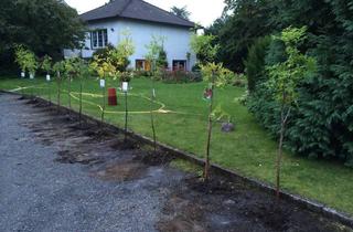 Wohnung mieten in 45721 Haltern am See, HELLE WOHNUNG MIT GROSSEM GARTEN