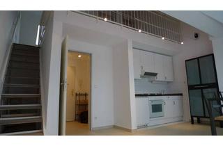 Wohnung mieten in Dörnichtweg 50c, 01109 Klotzsche, Sonnige & ruhige Maisonette- Wohnung mit Süd- Dachterrasse in Dresden- Klotzsche