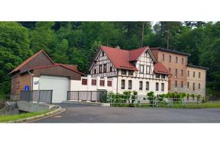 Einfamilienhaus kaufen in Mühlberg 154, 06493 Güntersberge, Vierseitenhof Mühlengrundstück Einfamilienhaus Mehrfamilien Haus Historisches Gebäude Gewerbeobjekt