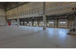 Gewerbeimmobilie mieten in 70794 Filderstadt, Provisionsfrei: Lager-/Logistikfläche in Flughafennähe zu vermieten!