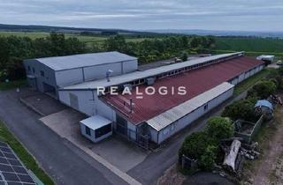 Gewerbeimmobilie kaufen in 99718 Großenehrich, Bei Sondershausen | ca. 2.000 m² Lager & Produktion zu verkaufen | ebenerdig